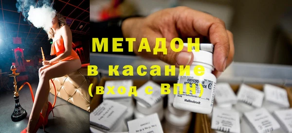 прущие грибы Беломорск