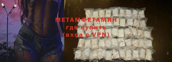прущие грибы Беломорск