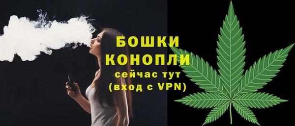 кокс Белокуриха