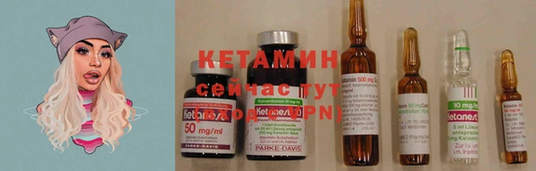 кокс Белокуриха