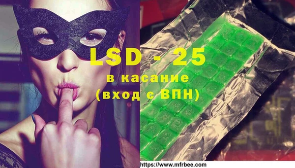 прущие грибы Беломорск